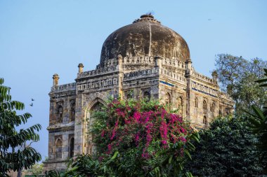 Sheesh Gumbad, Lodi Garden, Yeni Delhi, Hindistan, Asya