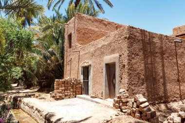 Zagora köyü çevresindeki vaha, Draa Vadisi, Fas, Afrika