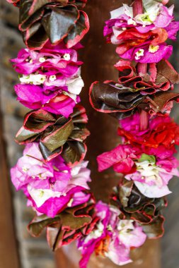 Pembe çiçek çelengi - hoş geldin töreni Polinezya kültürü, Paskalya Adası, Şili, Okyanusya