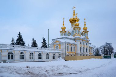 Peterhof Sarayı 'nın kışın yüzü, St Petersburg, Rusya, Avrupa