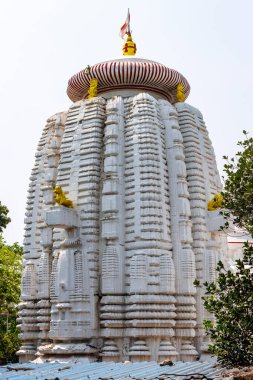 Bhubaneswar 'daki Kedaragouri tapınağının dışı, Odisha, Hindistan, Asya