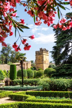 Cordoba, Endülüs, İspanya ve Avrupa 'daki Alcazar de los Reyes Christianos' un duvarı ve kulesi