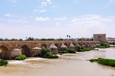Cordoba Roma Köprüsü, İspanya 'nın güneyinde, Endülüs' ün tarihi merkezi Cordoba 'da bulunan bir köprüdür.