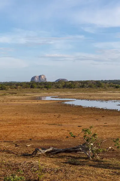 Arka planda Yala kayası olan Yala Ulusal Parkı manzarası, Sri Lanka, Asya