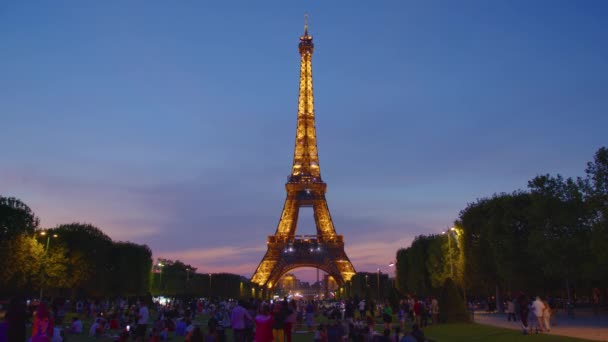 Vista Notturna Della Torre Eiffel Filmati Alta Qualità — Video Stock