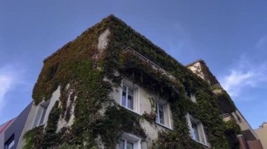 Paris 'in ya da Fransa' nın eski bölgelerinde Avrupa mimarisinin pitoresk antik binaları olan güzel dar bir cadde. Sarmaşıkla kaplı ortaçağ binaları. Mavi gökyüzünün pencerelerinde yansıma.