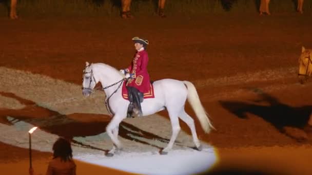 França Saint Fargeau Agosto 2022 Cavaleiro Medieval Montado Num Cavalo — Vídeo de Stock