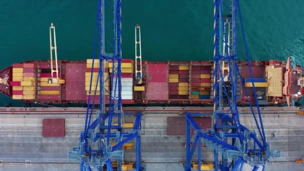 在美国一个大城市的主要物流枢纽港口装卸集装箱船 以最廉价的方式将各种货物运过海洋 高质量的4K镜头 — 图库视频影像