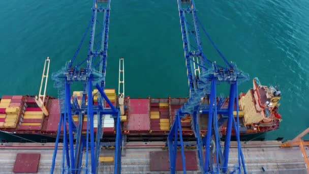 大規模なアメリカの都市の主要な物流ハブの港にコンテナ船をロードします 配達の最も安い方法で海を渡って様々な貨物の輸送 高品質4K映像 — ストック動画