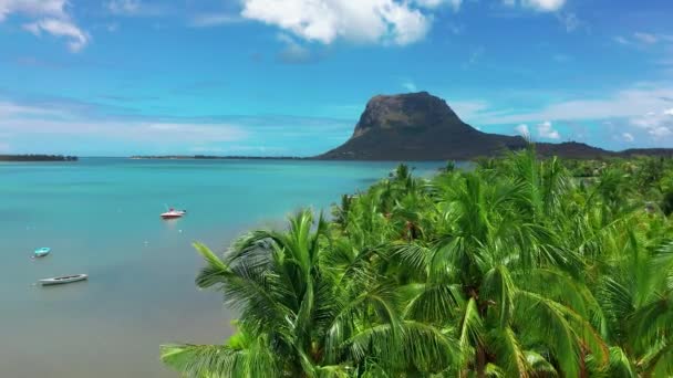 Вид Тропический Пляж Зелеными Пальмами Бирюзовой Водой Фоне Голубого Неба — стоковое видео