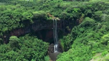 Mauritius 'un yeşil ormanındaki güzel bir şelalenin insansız hava aracı manzarası. Çok yüksek bir yerden düşen bir su akıntısı. Ormandaki yüksek şelale. Yüksek kalite 4k görüntü