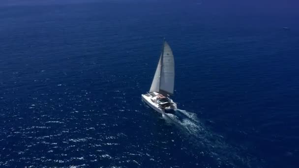 Reise Stor Katamaran Det Blå Indiahavet Nær Hawaii Luksusbåt Pløyer – stockvideo