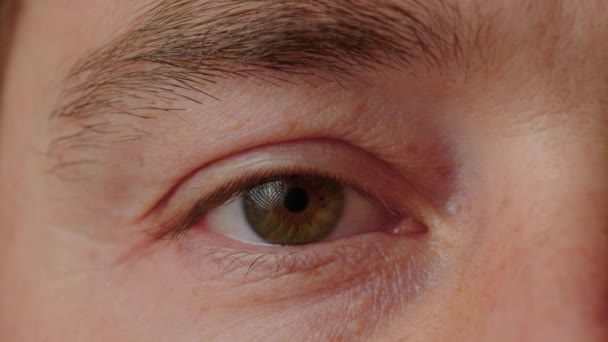 マクロレンズで撮影した人間の目のクローズアップ 大人の中年男性 人間の顔 高品質4K映像 — ストック動画