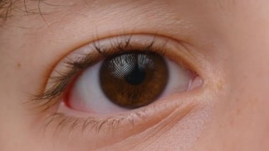 Collage of close-up of eyes and faces of people of different ages and genders. Beautiful montage of persons of diverse ethnicities looking at camera. High quality 4k footage