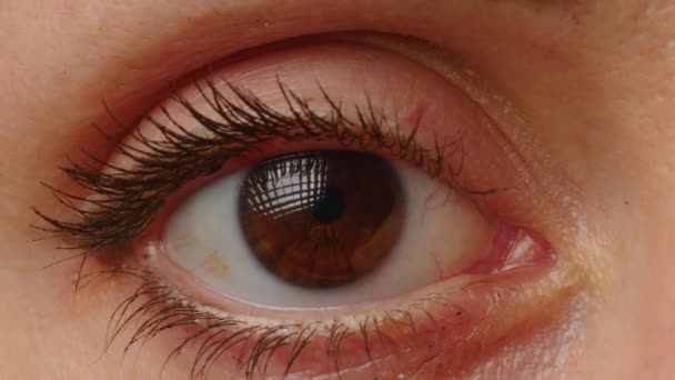 Close Shot Eye Opening Beautiful Brown Iris Healthy Eyesight Concept — ストック動画