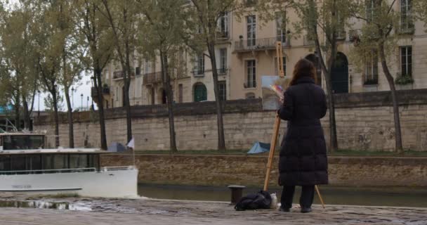 Žena Maluje Obraz Řeky Seiny Kreativní Umělkyně Maluje Obraz Štětcem — Stock video
