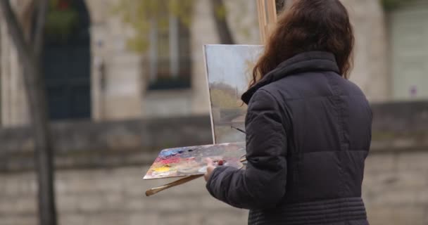 Mujer Pintando Cuadro Cerca Del Río Sena Artista Creativa Pinta — Vídeos de Stock