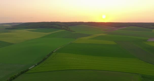 공중에서 하늘의 태양을 수있습니다 프랑스의 끝없는 농경지의 아름다운 풍경이었습니다 날면서 — 비디오