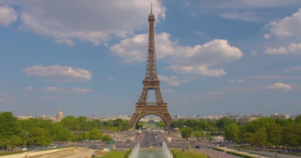 시간은 파리의 유역에서 단축되었다 — 비디오