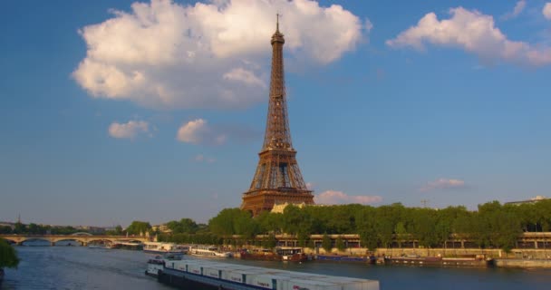 사람들은 광장을 파리에서 방문객 탑입니다 수많은 사람들 중심가를 있습니다 — 비디오