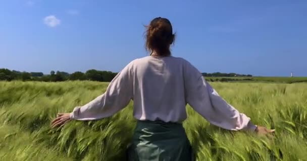 여름휴가 농장에서 자연을 산책하는 여자의 모습을 돌이켜 만지고 나뭇잎을 문지르는 — 비디오
