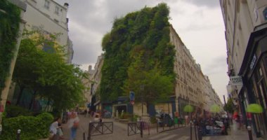 Modern bir şehrin taş ormanında bir parça vahşi yaşam. Paris 'in merkezinde dikey bahçe duvarları var. Zaman aşımı. Şehir merkezindeki bir binanın duvarında yeşil bitkiler yetişiyor..