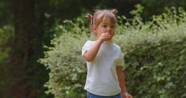 赤ん坊の女の子は自然の中でドーナツを食べる 自然と誠実な子供の感情 夏の公園で少女の肖像画 人生を楽しむ子供のクローズアップ — ストック動画