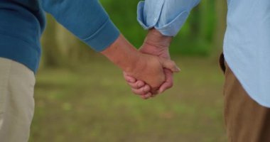 Evli ve el ele tutuşan iki yaşlı insan. Yardım eli ve destek, sevgi hissi. Gün batımına karşı parkta bir yaz akşamı. Yüksek kalite 4k görüntü