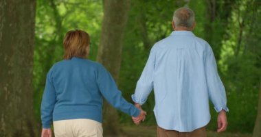 Sevgi dolu yaşlı çiftin parkta yürüyüşünün arka görüntüsü..