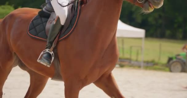 プロのアパレルでドレスを着た若い女性の馬術マスターのシネマティックなスローモーションは 競馬の競技の練習です ジャンプ馬を表示する — ストック動画