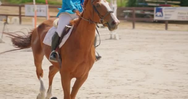 Ανταγωνιστική Γυναίκα Αναβάτη Για Άλογο Άλμα Πάνω Από Εμπόδια Αργή — Αρχείο Βίντεο