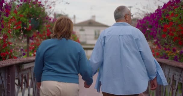Orang Tua Yang Jatuh Cinta Berjalan Taman Kehidupan Kedua — Stok Video