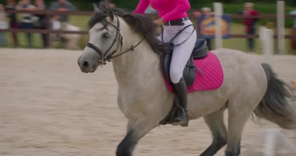 骑在马背上的有竞争力的女骑手跳过障碍物 慢动作 在户外参加马术比赛 训练跳跨栏 — 图库视频影像
