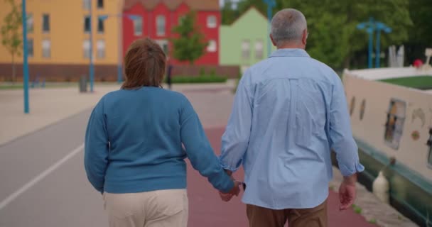 愛する人の何人かは 夏の日没に公共の公園を歩いています 手を握っている老人の夫婦 手とサポートを支援する 家族における信頼と生活経験 — ストック動画