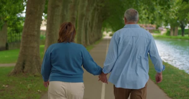 Пара Взрослых Людей Гуляющих Вместе Парке Мужчина Нежно Обнимает Женщину — стоковое видео