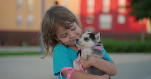 Kislány Kutyával Kis Kutya Parkban Egy Éves Gyerekkel Husky Kutya — Stock videók