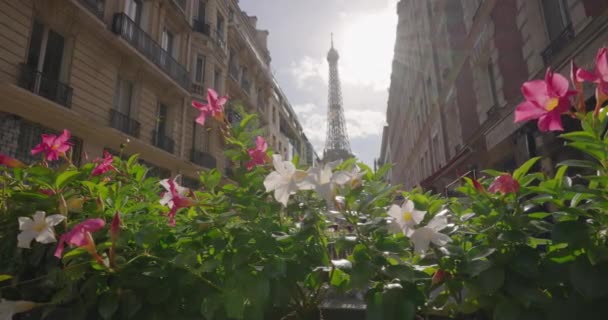 从巴黎的一条著名街道上俯瞰埃菲尔铁塔 首都中心的巴黎式房屋建筑 巴黎的房子背景地标铁塔 — 图库视频影像