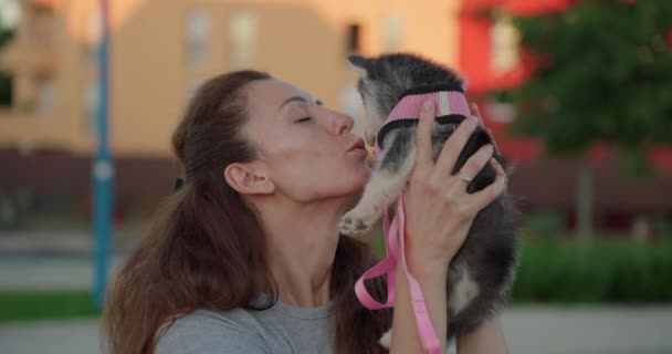 Frau Umarmt Und Küsst Kleine Welpen Freien Glückliches Haustier Konzept — Stockvideo