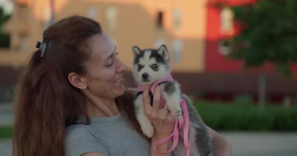 Atractiva Mujer Sosteniendo Pequeño Cachorro Sus Brazos Disfrutando Del Momento — Vídeo de stock