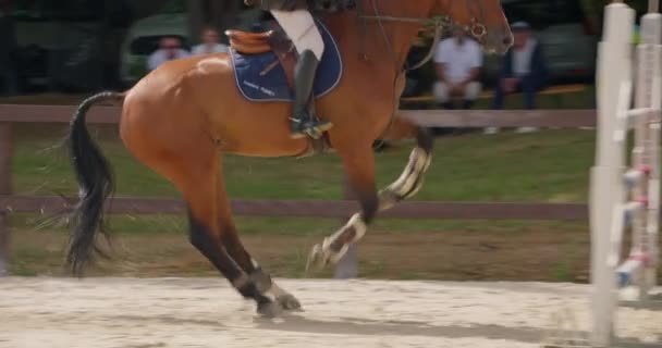 专业男性赛马会骑在马背上 马是恶性的跳过在竞争中的障碍 — 图库视频影像