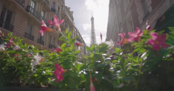 Omhoog Kijkend Eiffeltoren Vanuit Parijse Straat Tussen Appartementen Bloemen Parijs — Stockvideo