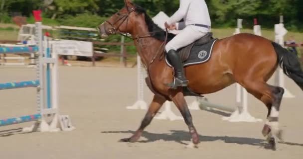 Jóquei Masculino Profissional Monta Cavalo Cavalo Está Galopando Pulando Através — Vídeo de Stock