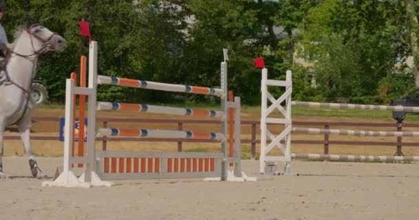 Профессиональный Жокей Скачет Лошадях Лошадь Скачет Прыгает Через Барьер Соревнованиях — стоковое видео