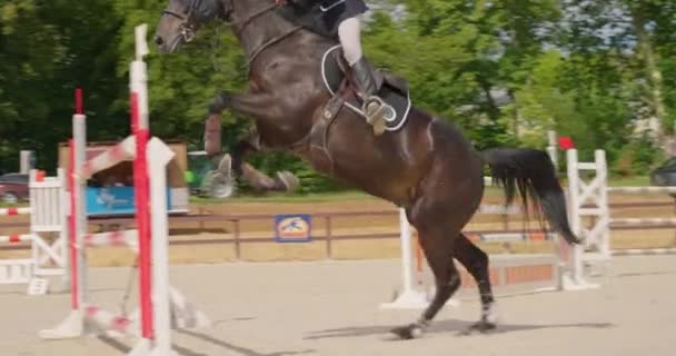 馬と馬をジャンプする 馬に乗ってジャンプ サンディパルクールライディングアリーナ アウトドアでの馬の飛躍フェンス — ストック動画