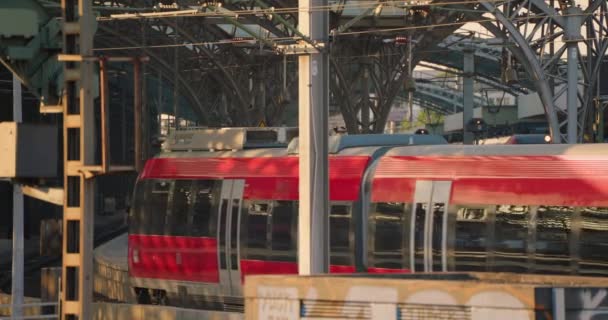 Κυκλοφορία Τρένου Στον Κεντρικό Σταθμό Της Κολωνίας Εντοπισμός Οπτικής Γωνίας — Αρχείο Βίντεο