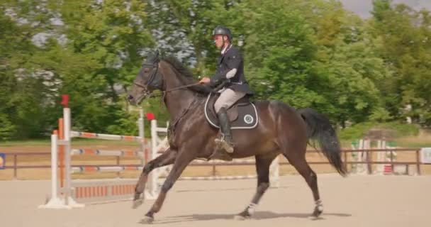 France Saint Sauveur Puisaye July 2023 Jumping Horse Equestrian Jumping — Stock Video