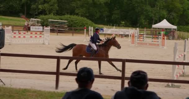 a cavalo saltos sobre a obstáculo. a cavalo cavalgando. pulando