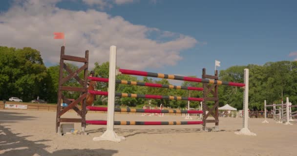 フランス ソーヴァー ピエイ 2023年7月30日 ジャンプ馬と馬 馬に乗ってジャンプ サンディパルクールライディングアリーナ アウトドアでの馬の飛躍フェンス — ストック動画