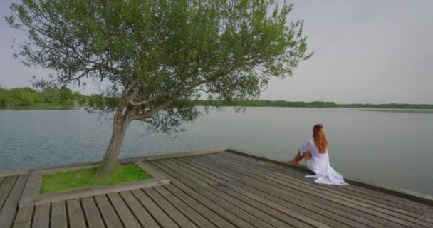 소녀는 호수에 부두를 살아있는 나무는 호수의 중간에 부두에 자란다 — 비디오