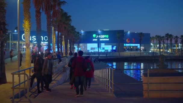 Alicante España Diciembre 2023 Crowded Avenue Gente Caminando Por Calle — Vídeos de Stock